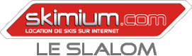 logo skimium
